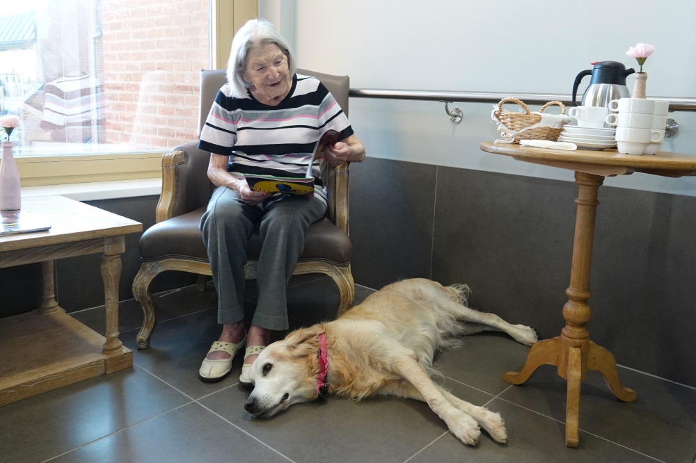 Pleiades koffiehoek hond 03