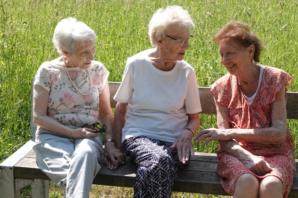 De Groene Boog Animatie wandeling 11