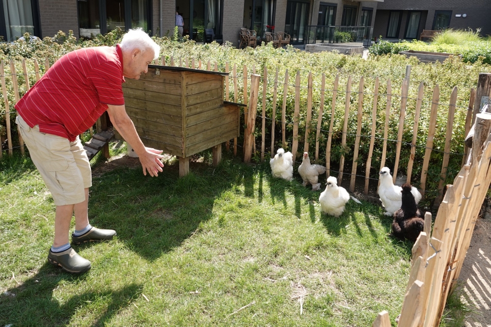 Prinsenpark tuin 6 - kopie