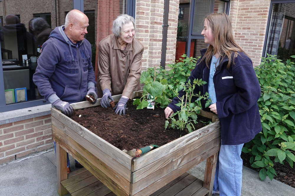 Berckenbosch animatie planten 1