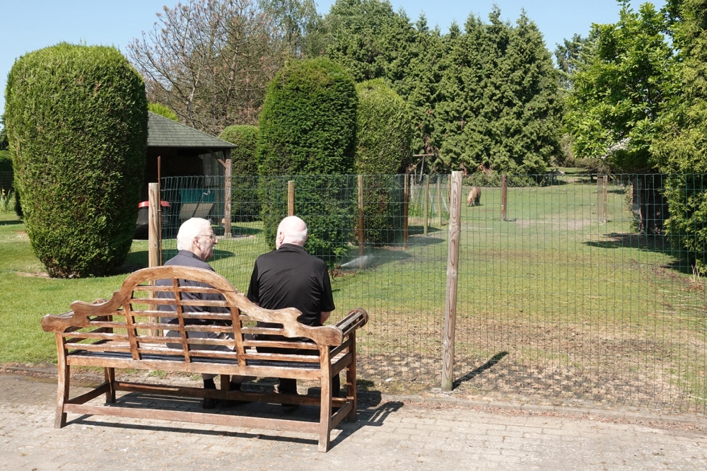 Seniorenhof tuin 01